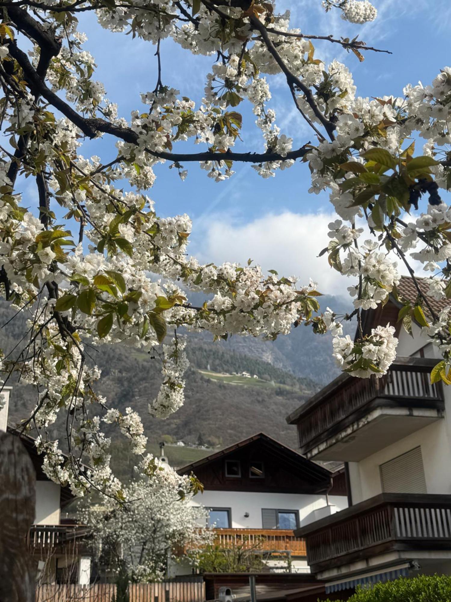 Ferienwohnung Im Zentrum Naturns Exteriör bild